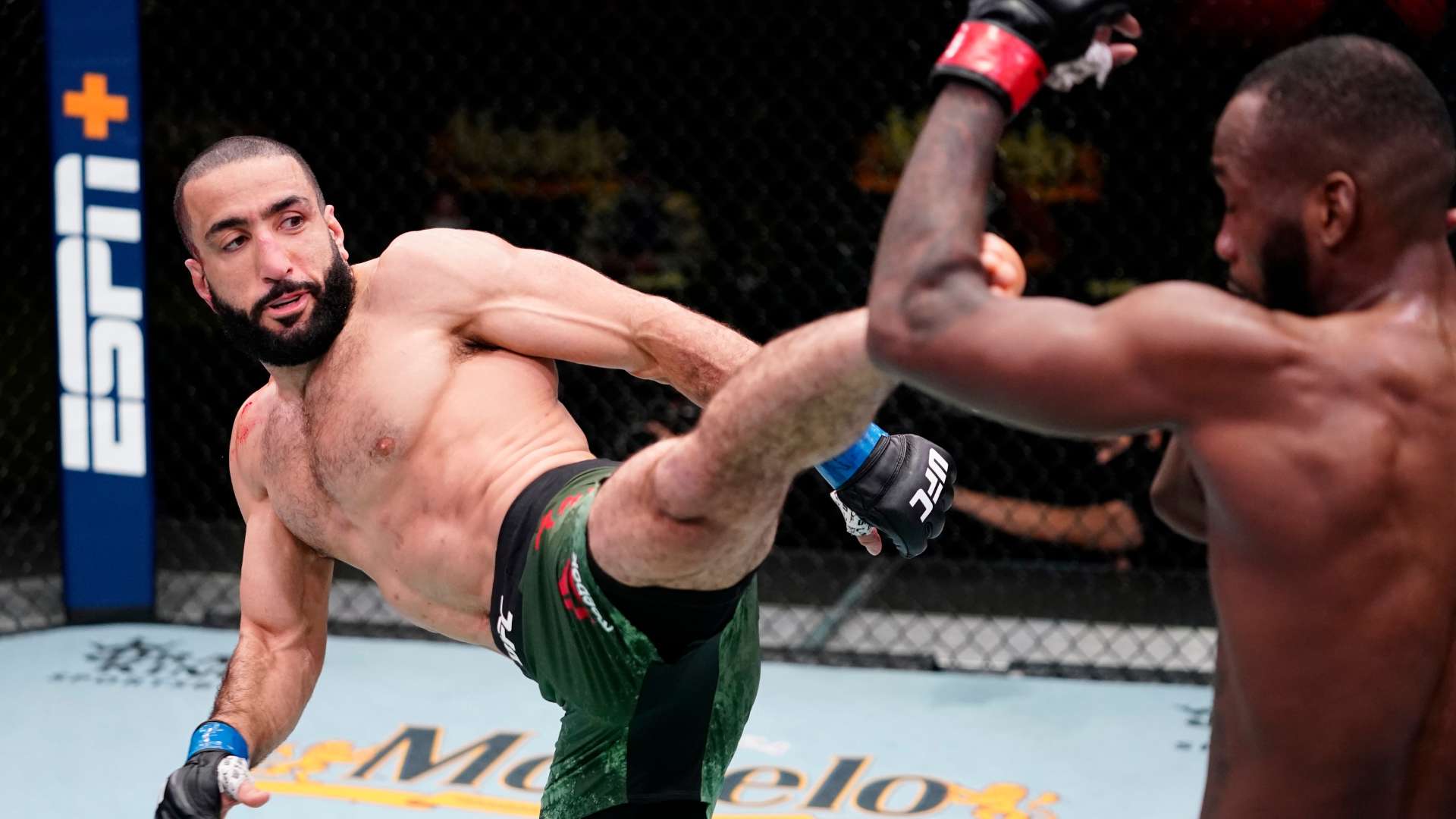 了努力和坚 了努力和坚